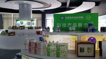云南省農(nóng)業(yè)科學院科技產(chǎn)品電子商務營銷中心成立，開啟智慧農(nóng)業(yè)新篇章